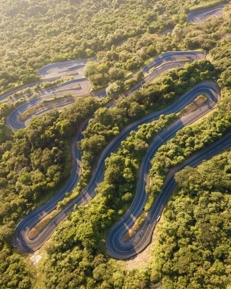 wmremove-transformed (1)