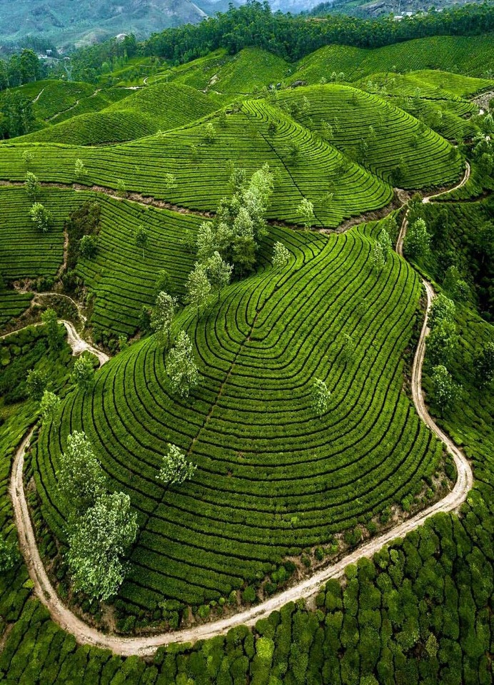 WhatsApp Image 2025-10-17 at 14.23.53_a0d5bcc4 (1)